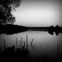 /album/nauka-online/photolia-b01-jpg/